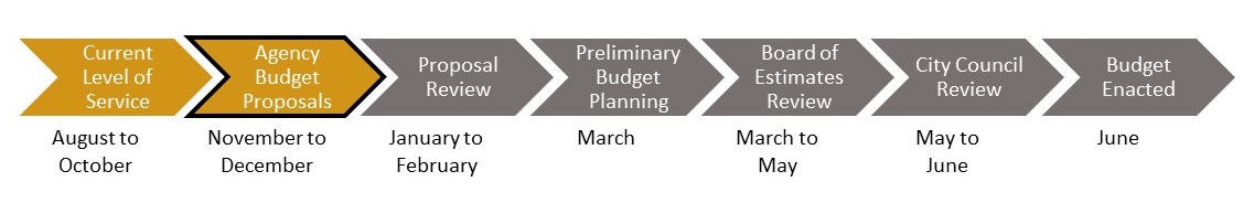 Line of arrows for the different phases of the budget process. Currently, the City is in the agency budget proposal phase.